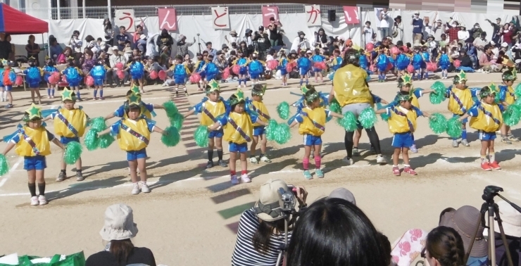 「園児たちの運動会練習！」