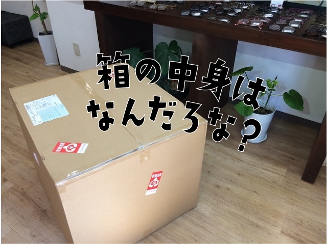 「ある日届いたデッカイ荷物。なんだろう？？」