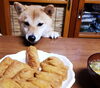 「11月の休診のお知らせ」