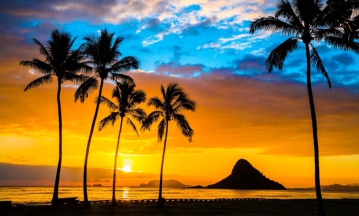 「新曲スタートします♫ハワイアンの大切な曲「Hawai'i Aloha」」