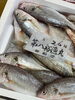 「岩船港直売所本日営業致します」