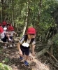 「隠居岳🌳」