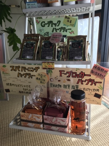 「優雅に毎日お茶を飲んでキレイになる！」