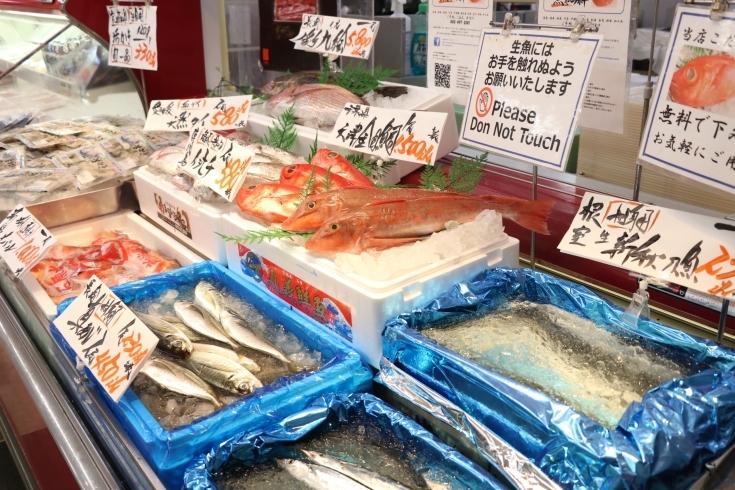 「八千代市、佐倉市の鮮魚店  　勝田台から徒歩10分　 魚や山粋（ヤマスイ） うまい旬魚大奉仕!!」