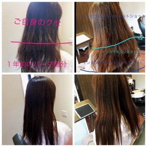 まだまだ伸ばせるロングの髪質改善です 艶のなさ ふくらむ うねるクセ 結合水分量の無さによるバサツキ が嘘のように改善しました salon sのニュース まいぷれ 出雲