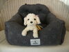 「ドライブベッド　(*´ω｀*)」