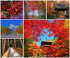 「さあ、紅葉狩りのシーズン間近！」