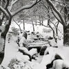 【No.145】　大雪は楽しい！　戸山公園周辺にて　（1）