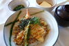 「○・。＊　今日のランチ　＊。・○」
