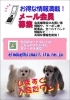 「トリミング10％引き　【メール会員特典】」