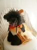 「Happy　Halloween　(^O^)　❤」
