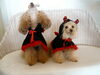 「Happy　Halloween　(^O^)　❤」