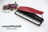 「Ｘ'ｍａｓフェア★micro ＰＩＡＮＯ★」