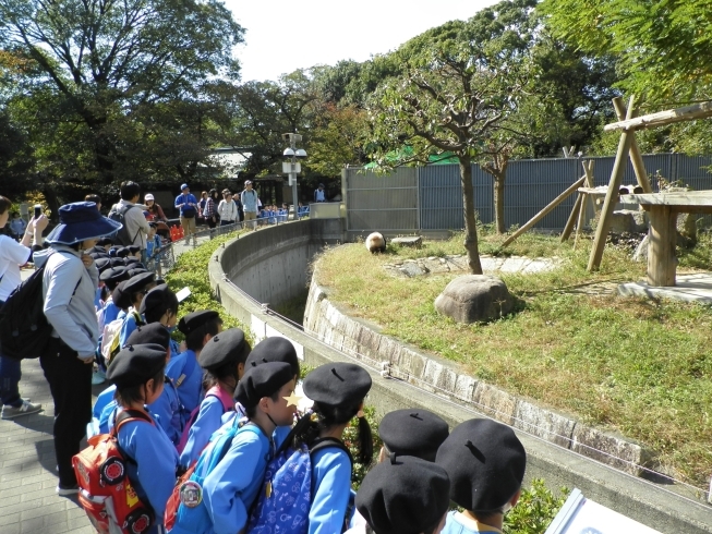 「秋の遠足（年中組）に行きました！」