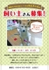 「可愛い仔犬、家族に迎えませんか！？」