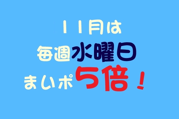 「11月のまいポ5倍デー・・・100ポイントをGETせよ☆」