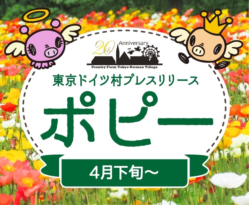 東京ドイツ村 フラワーフェスティバル 茂原市 長生郡 おでかけ観光情報 まいぷれ 茂原市 長生郡 東京ドイツ村 フラワーフェスティバル 茂原市 長生郡 おでかけ観光情報 まいぷれ 茂原市 長生郡