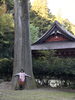 「人気No. 1メニュー＊整体＊」