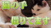 「猫カフェKuro　最新動画」