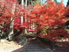 「若穂 清水寺」