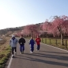 ４月１２日の早朝練習報告
