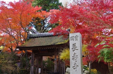 「紅葉めぐり～湖南三山編～」