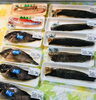 「魚魚市場鮮魚コーナーおすすめは「シマアジ・ヤリイカ」です♪」