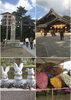 「in出雲大社 神在祭♪ 買取七つ屋 ブランド腕時計 買取強化中！」
