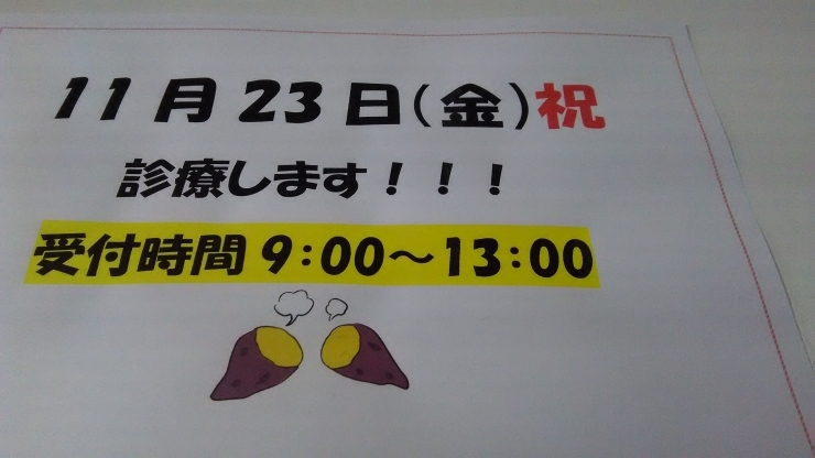 「明日診療します❗11月23日」