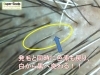白髪が黒髪に変わる 浜屋鍼灸院のニュース まいぷれ 加古川市