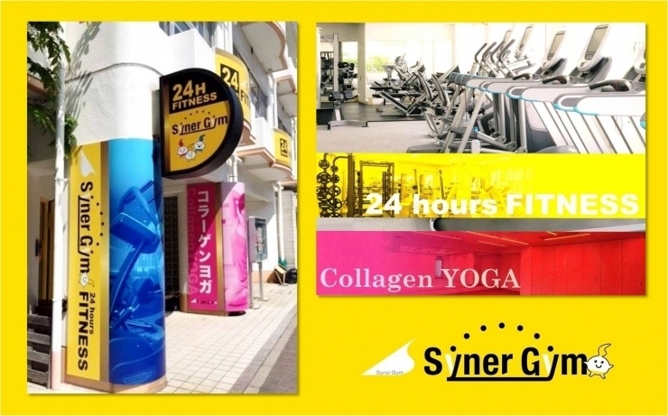 「１２月のまいポ加盟店オリジナル特典　SynerGym（シナジム）」