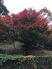 「西条市小松町にある石鎚ハイウェイオアシスの『小松中央公園』」