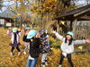 「西蓮寺のイチョウ見学へいってきました！」