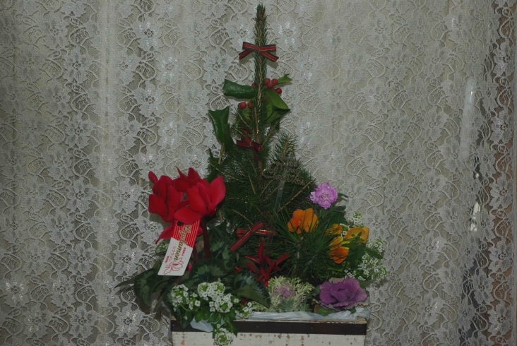 「クリスマス・迎春用　寄せ植え（教室）」