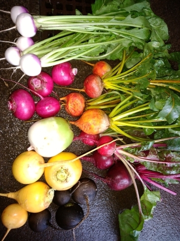 「☆寒くなれば甘味が増しますカラフル野菜、毎度お馴染みカラフル野菜の小山農園☆」