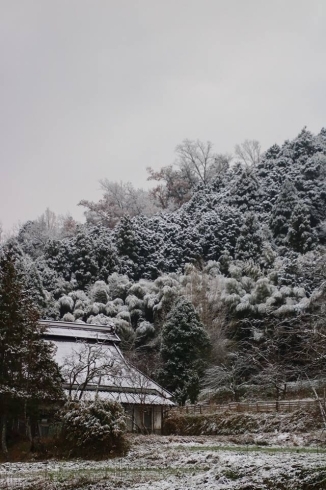 「【初雪薄化粧】」