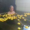 ゆず湯♨️開催中
