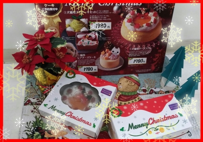 「Ｘｍａｓケーキ入荷しました！！」