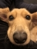 「おはようございます！」