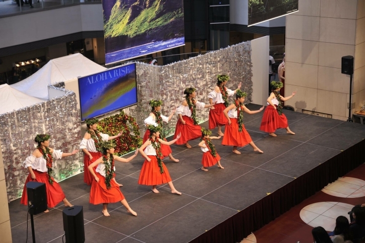 「アロハライズ  みなとみらい クリスマスイベント」