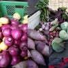 「☆2018年、カラフル野菜の小山農園、『感謝』！☆」