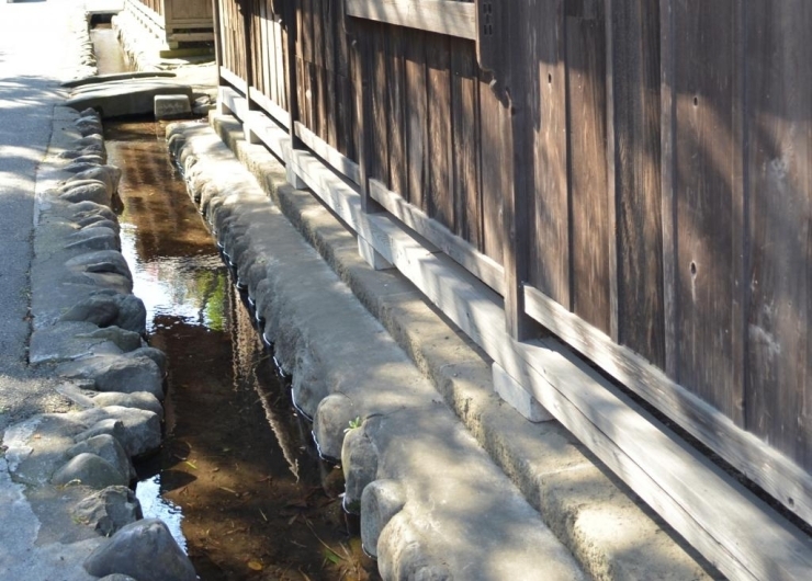 さあ、後半戦の始まりです。<br><br>諏訪神社を出てすぐ、立派な黒塀が！<br>脇には湧水が穏やかに流れています。<br>ここは東京なのか？　と思うくらい。風流ですねぇ。<br>近くで見て見るとやはりこの水も凄い澄んでおり、魚やザリガニが今もいることにも納得！<br>地元（山梨）でもこんなに綺麗な用水路はなかなかない。<br>子どもはよろこぶだろうなぁ。。。