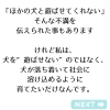 なぜパピーパーティーをヨーロッパではしなくなったか「商売よりも社会を変えるしつけを■犬のしつけを考える」