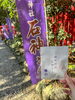 神明神社「神明神社(石上さん)おうさつ」