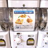 能トレ木工パズル「ましゅまろにガチャコーナ登場🎊【武生駅前　ジェラート＆ワッフルバー　ましゅまろ】」