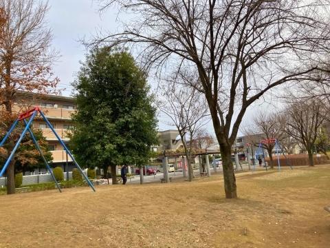 勝瀬原記念公園ターザンロープ
