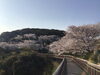 「西海橋物産館」