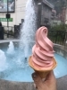 入善ジャンボスイカ味のソフトクリームここにしか無い「今週のお休みは」