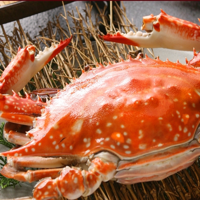 蟹御殿 太良町 竹崎蟹や車えび アワビなど 新鮮な海産物が自慢の旅館 外国語メニューがある飲食店 佐賀県 まいぷれ 佐賀 神埼 蟹御殿 太良町 竹崎蟹や車えび アワビなど 新鮮な海産物が自慢の旅館 外国語メニューがある飲食店 佐賀県 まいぷれ 佐賀 神埼