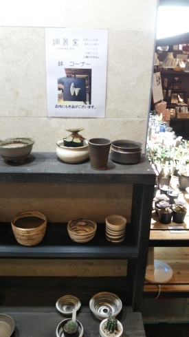 上島かな子さんの鉢「PayPay八王子市キャンペーンは7/31まで 陶芸作家さんの鉢コーナーができました。鉢 多肉 サボテン 足し付き鉢 塊根植物 観葉植物 ボタニカル おしゃれ 八王子市」